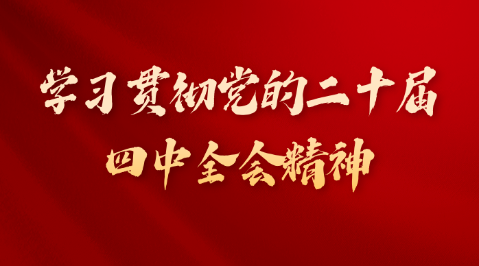 学习贯彻党的二十届四中全会精神